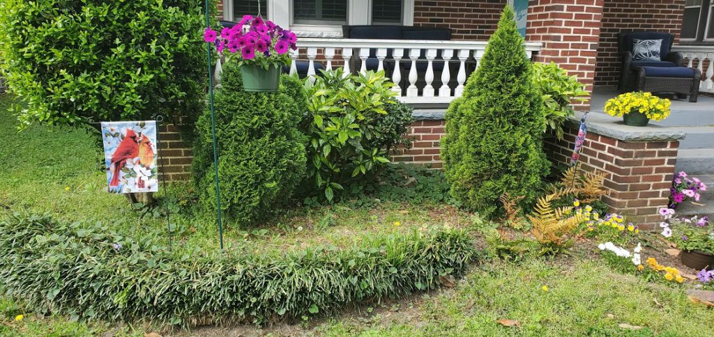 Flower Beds - Before Landscaping